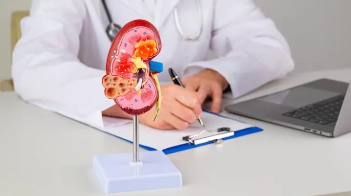Expert Nephrology Medical Billing